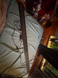 Fish tank light