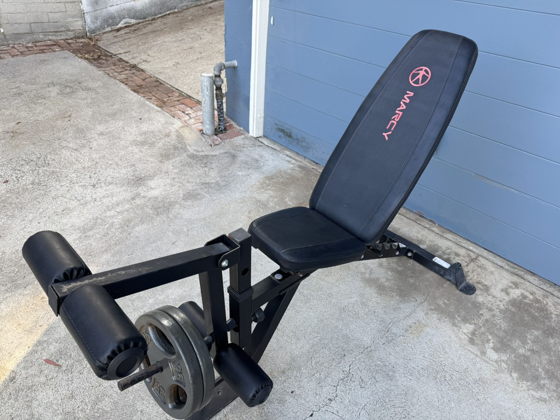 Workout Bench With two 50lb Weights