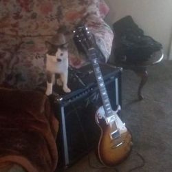 Vintage Peavey Heritage/Lawsuit Memphis Les Paul 