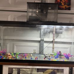 Fish Tank 50 Gal