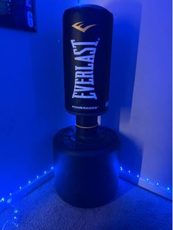 Everlast Powercore Punching Bag