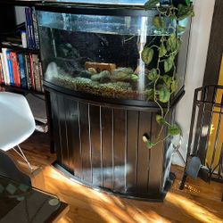 46 Gal Bow Front Tank