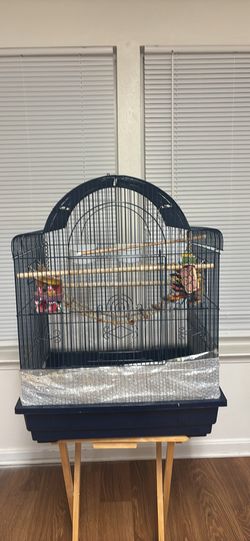Bird Cage