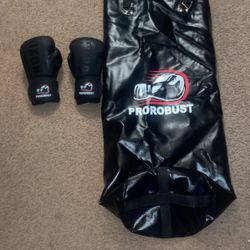 Punching Bag And Gloves