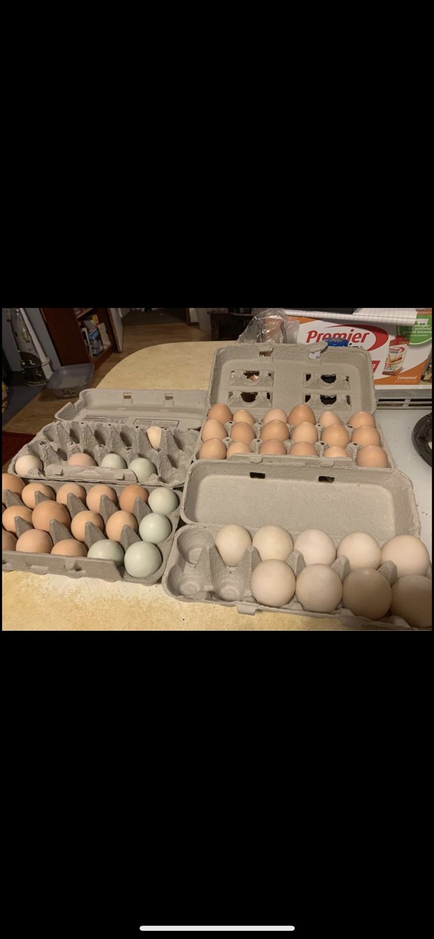 Farm Fresh Chicken
