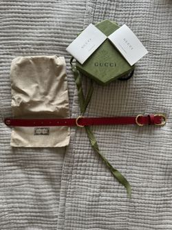 Gucci Dog Collar