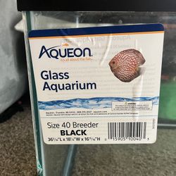 Fish Tank