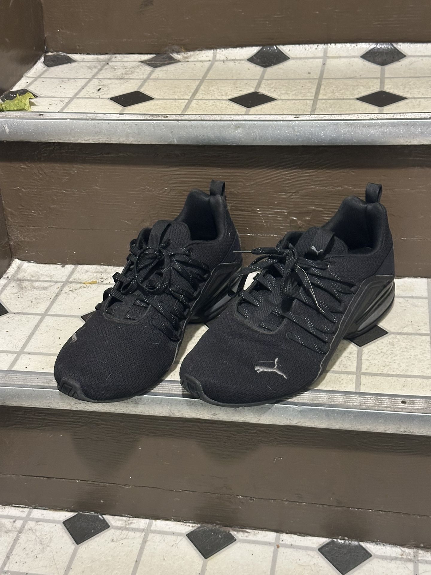 Pumas