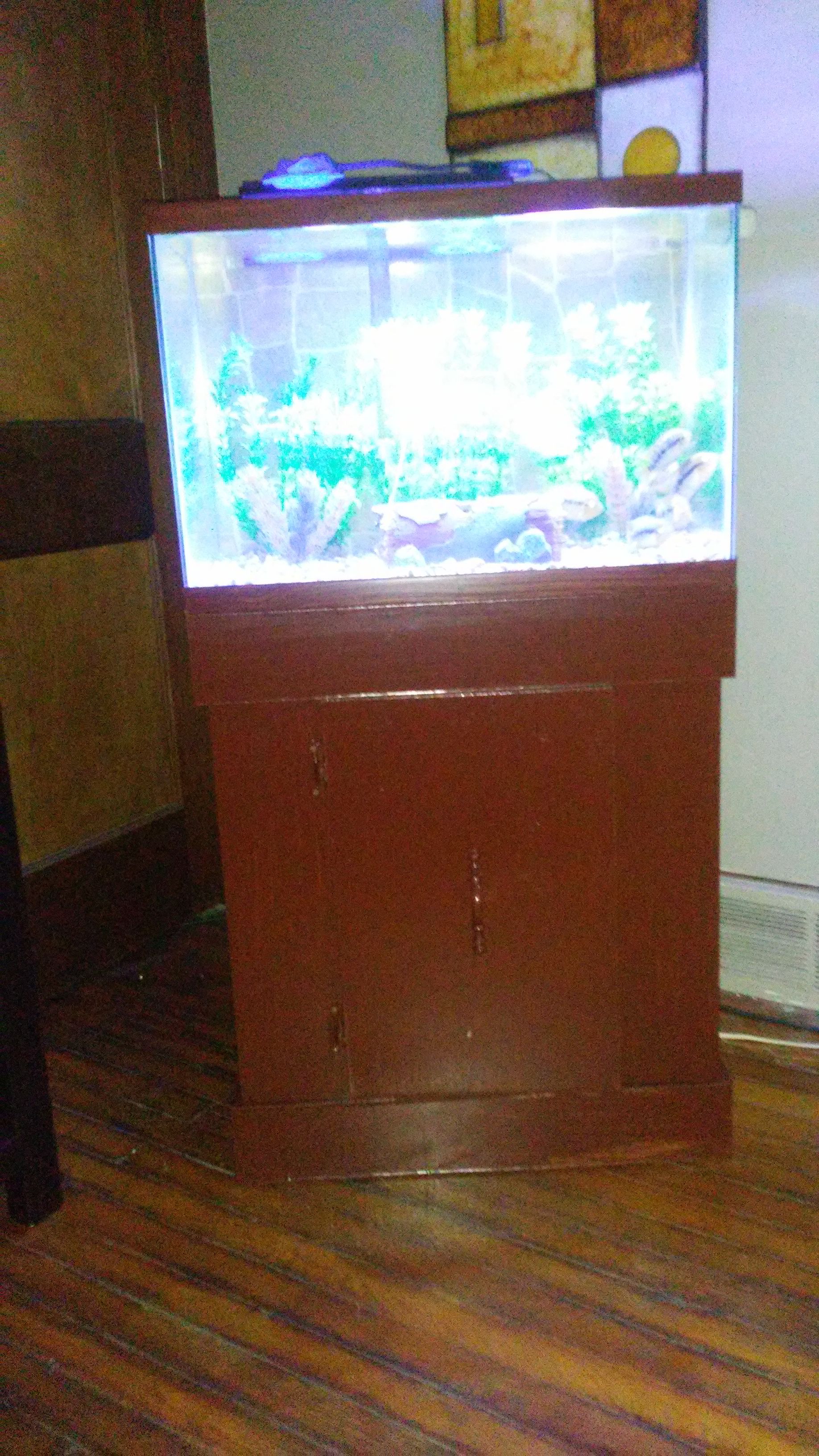 20 gallon fish tank and stand