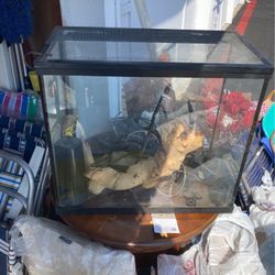 Reptile Tank