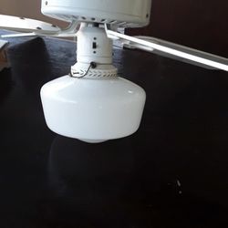 Ceiling fan