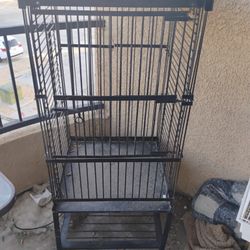 Bird Cage