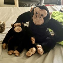Pier One Stuffed monkeys! 