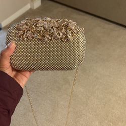 Beautiful Party Purse Never Used