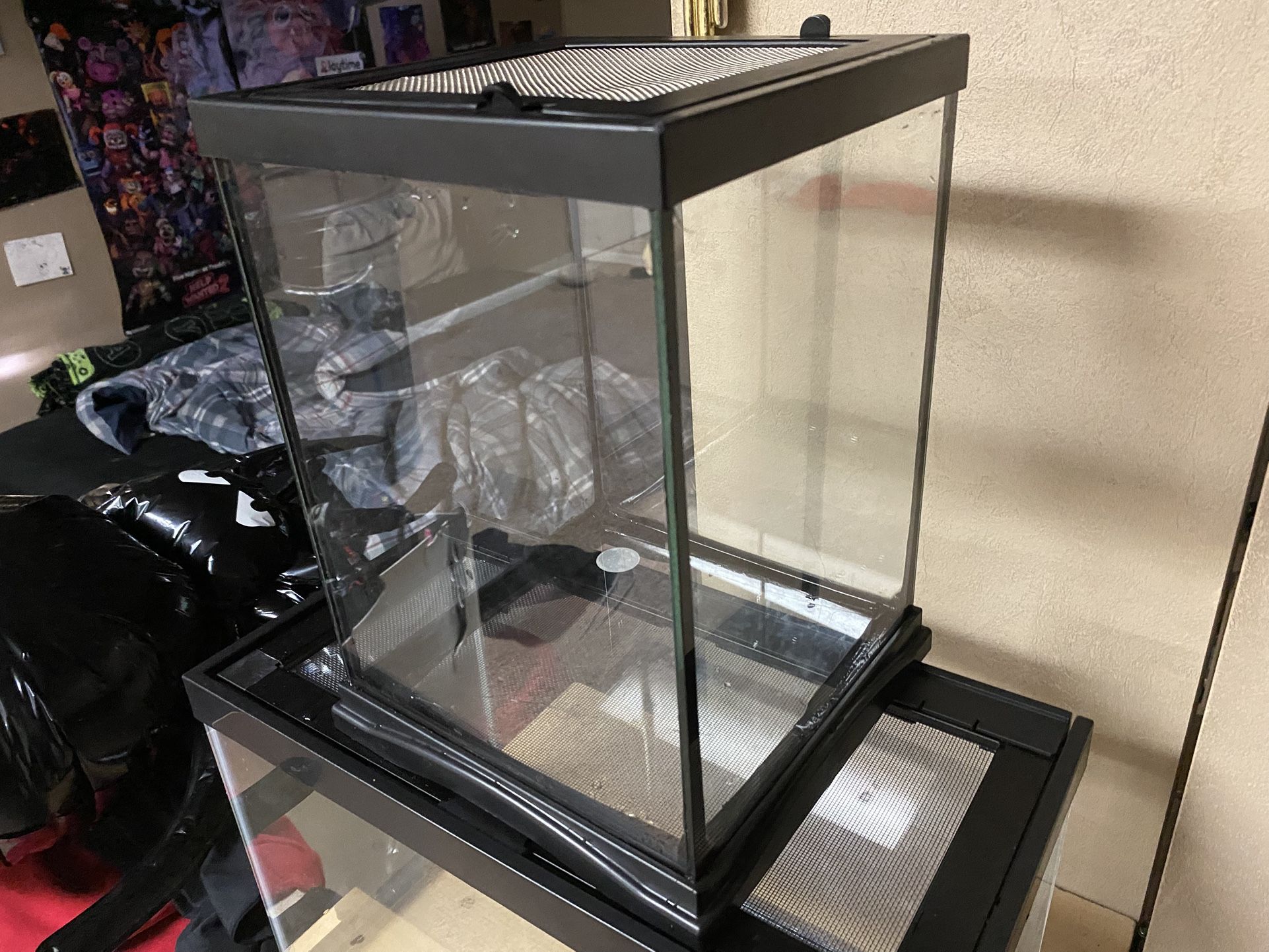 Tarantula Enclosure