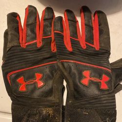 Batting Gloves 