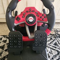 Nintendo Switch Steering Wheel