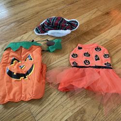Small Dog Costumes - $4/All