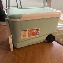 Igloo Cooler 38 Qrt