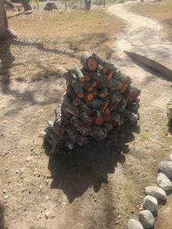 Free Unseasoned Wood