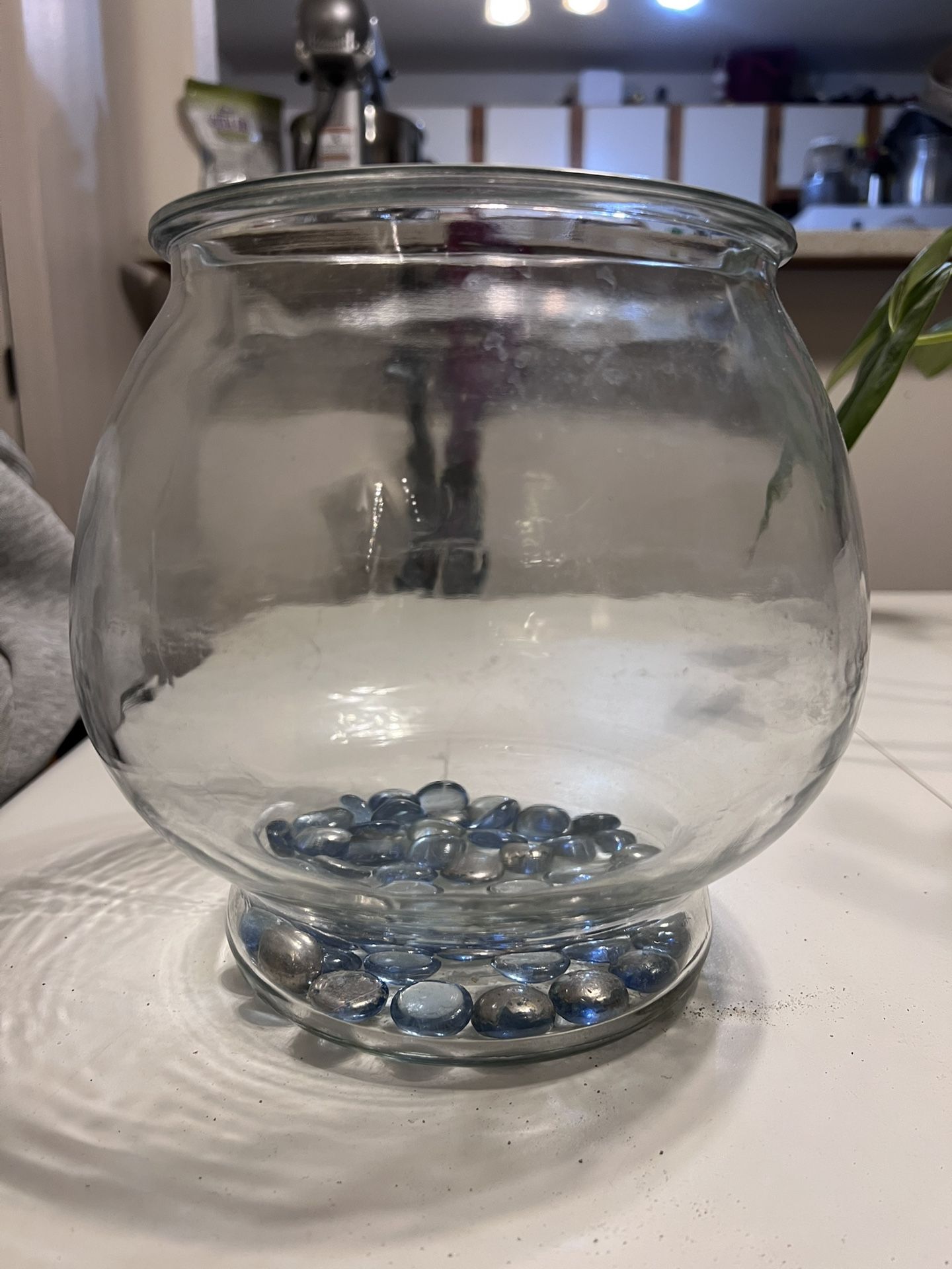Fish Tank