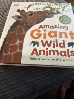 Books - Fold Out Flaps