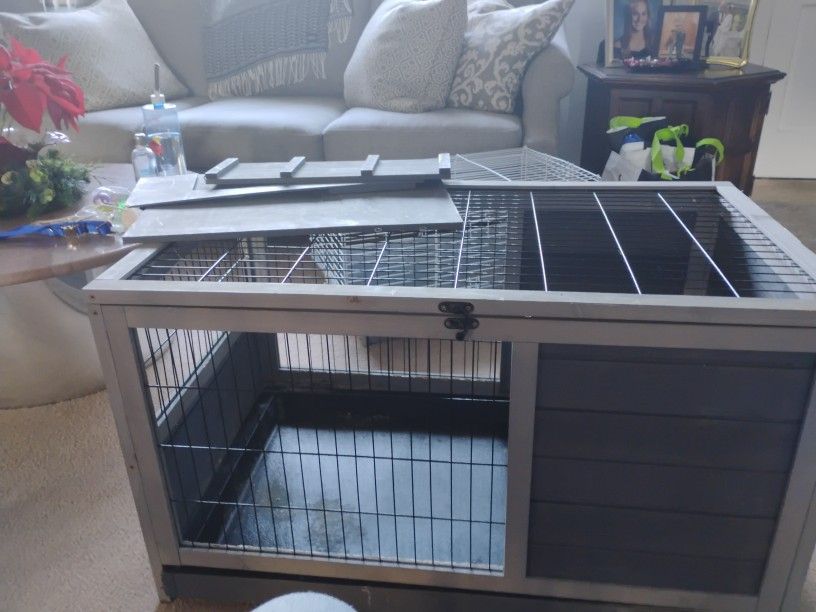 House For A Gueina Pig 