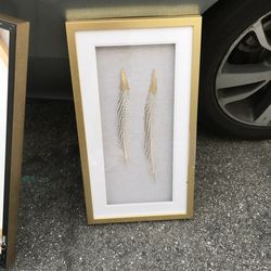 Gold tipped colored feathers decor