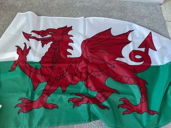 XL Welsh National Flag