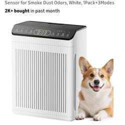 Air Purifier 