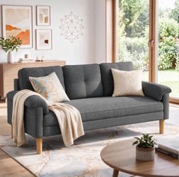 Modern Sofa Couch