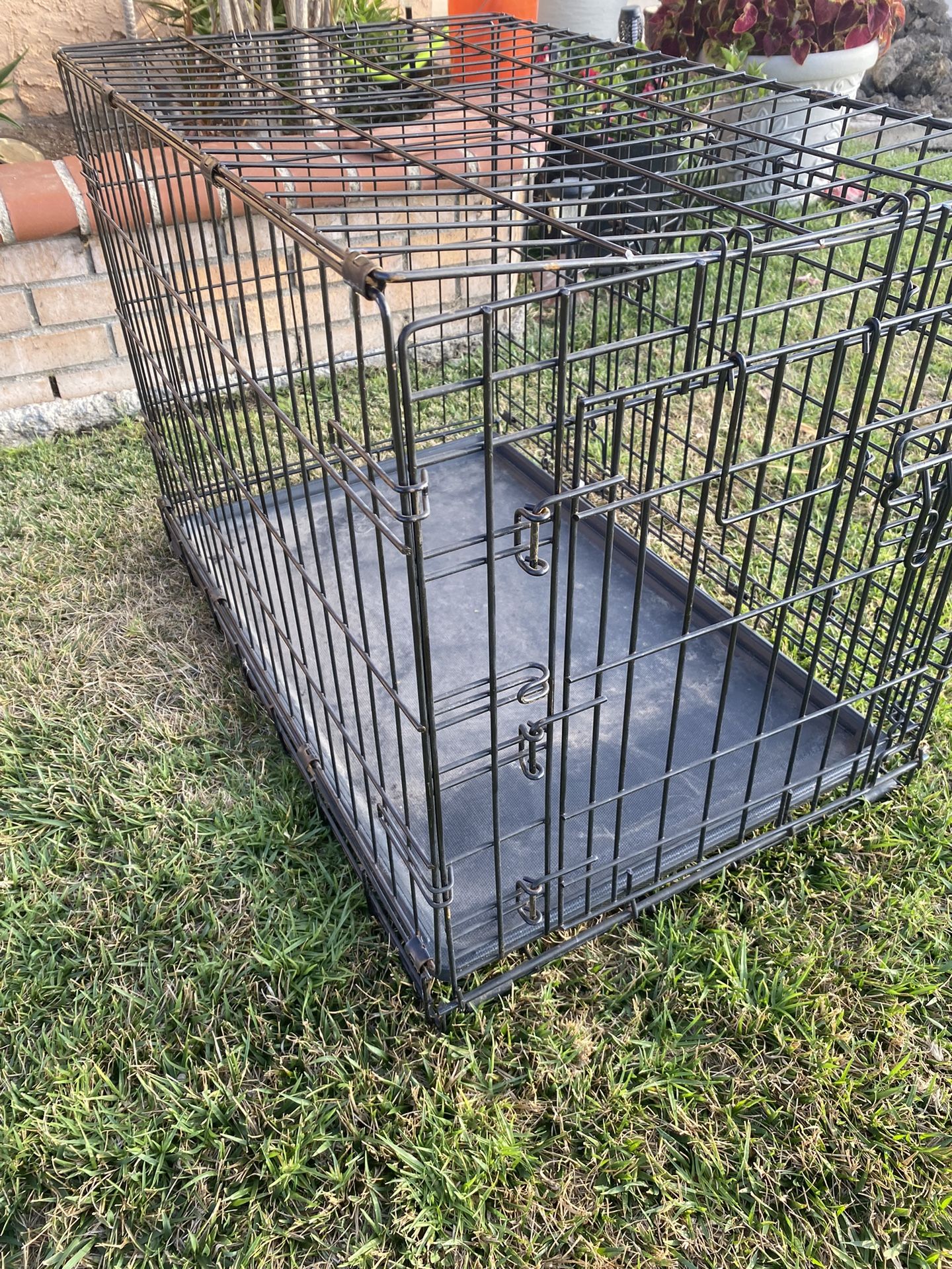 Dog Kennel