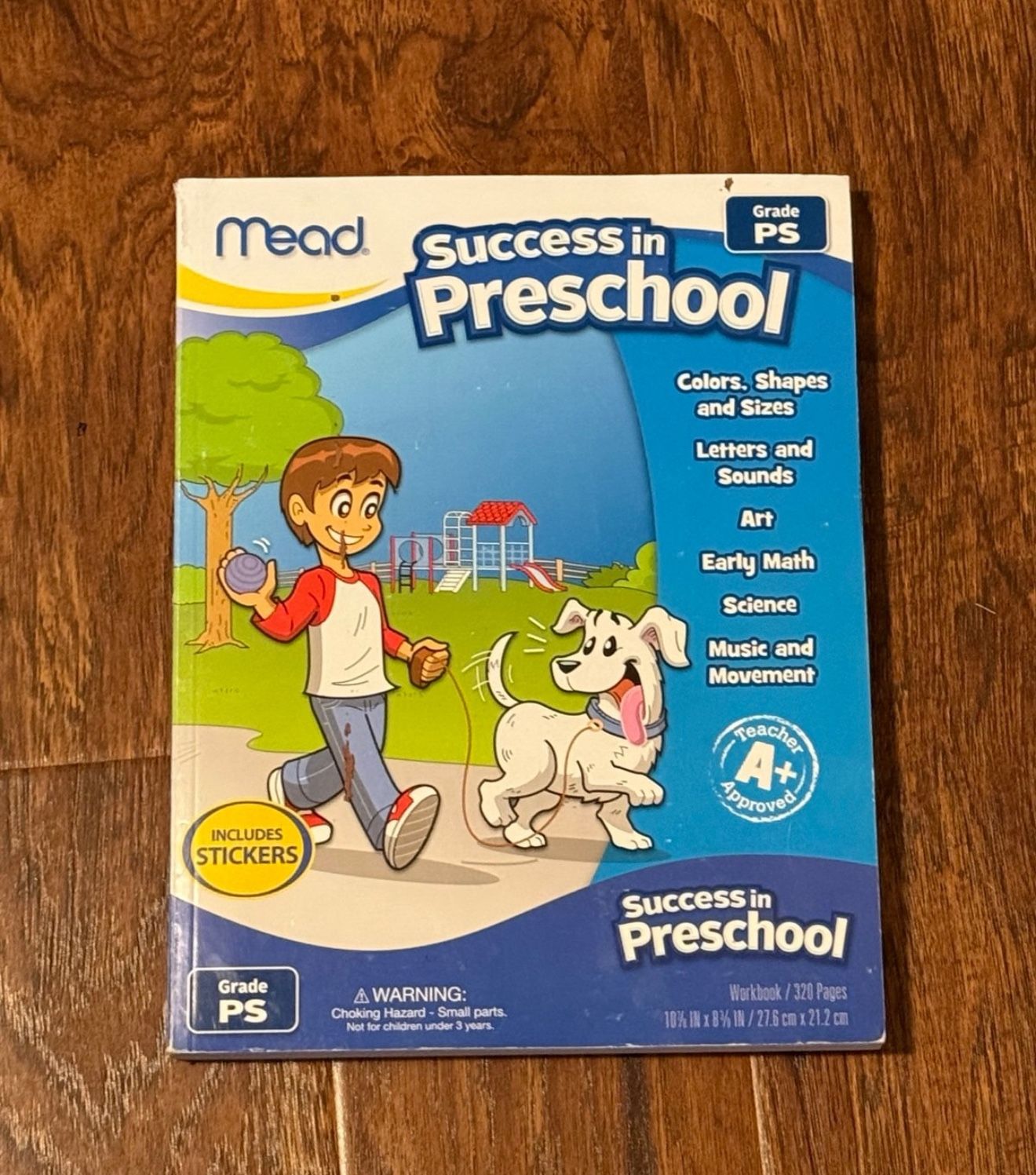 Mead Success in Preschool Workbook
