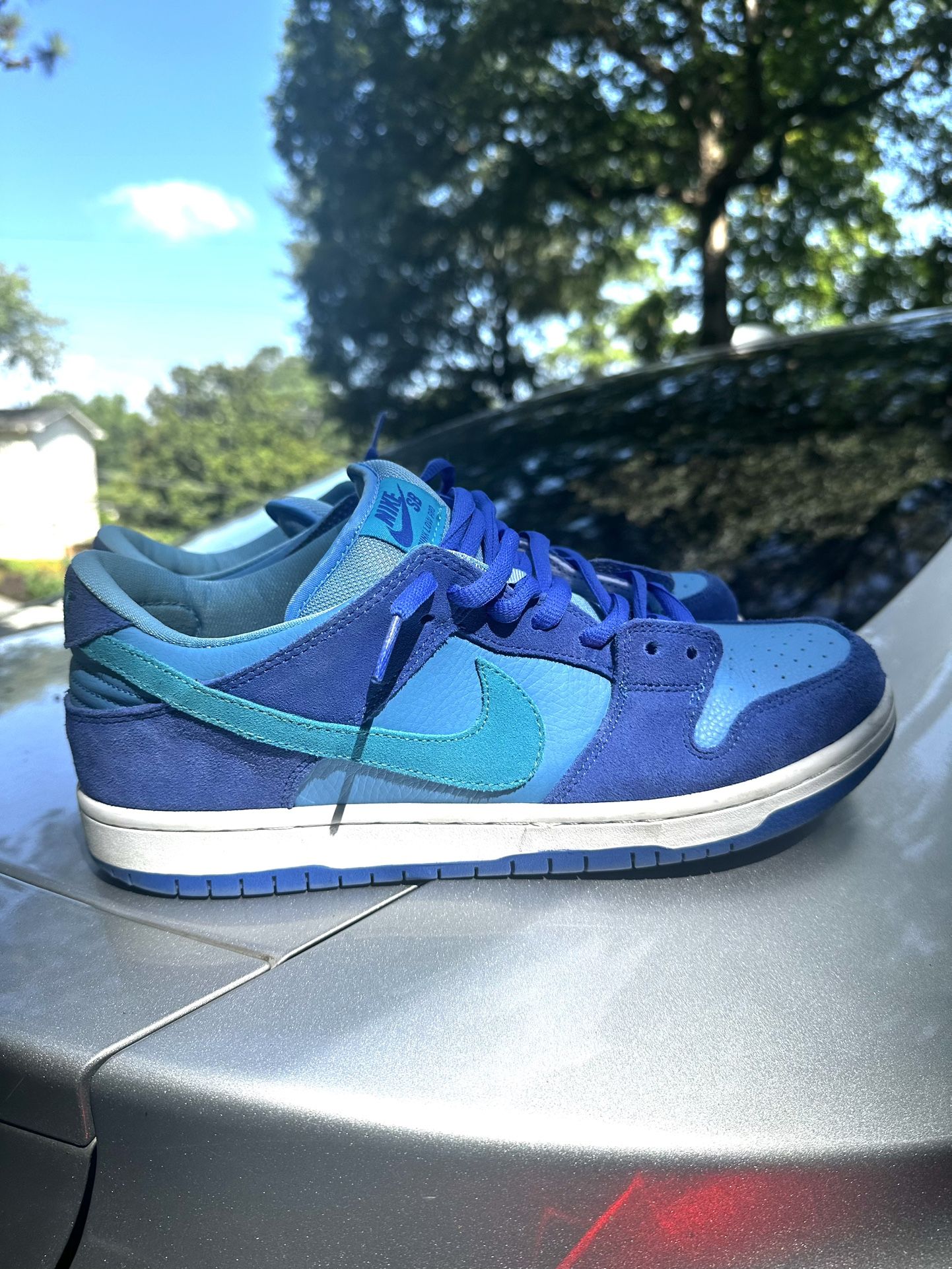 Nike Dunk Blue Raspberry Size 12