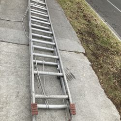 Extensión Ladder 🪜 20”