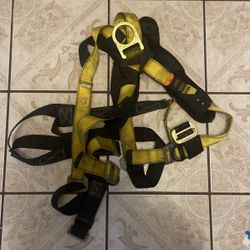 Harness