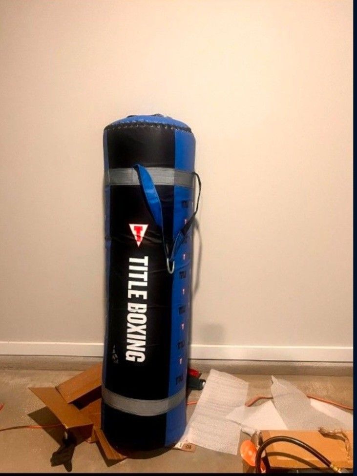 Tilt boxing punching bag