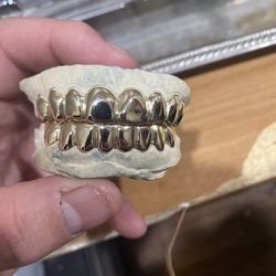 Zorrilla Gold And Silver 