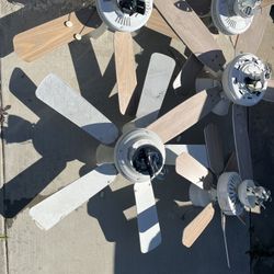 Ceiling Fans