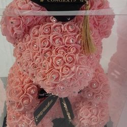 graduation stuffed animals 🎓/ Peluches De Graduación 