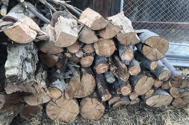 Cherry Wood For Smoking Meats