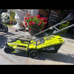 13 in. 11 Amp Corded Electric Walk Behind Push Mower