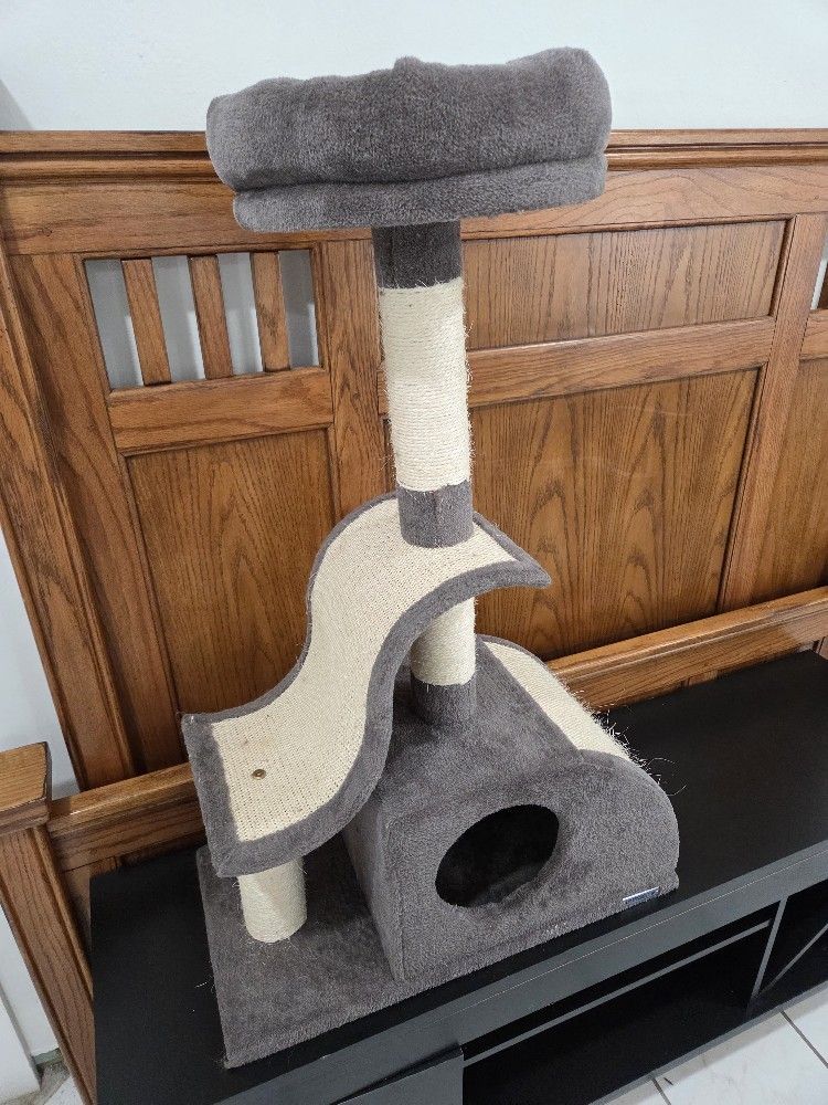 CAT RESORT
