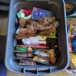 Ty Beanie Babies