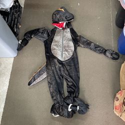 Dragon costume 4T