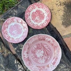 Ancient Plates 