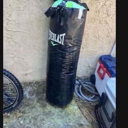 Punching Bag With Gloves 