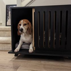 Mid century Modern Dog Crate, Dog House, Wood