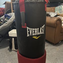 Everlast Punching Bag 