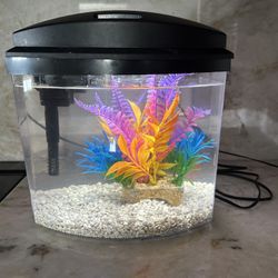 5 Gallon Fish Tank